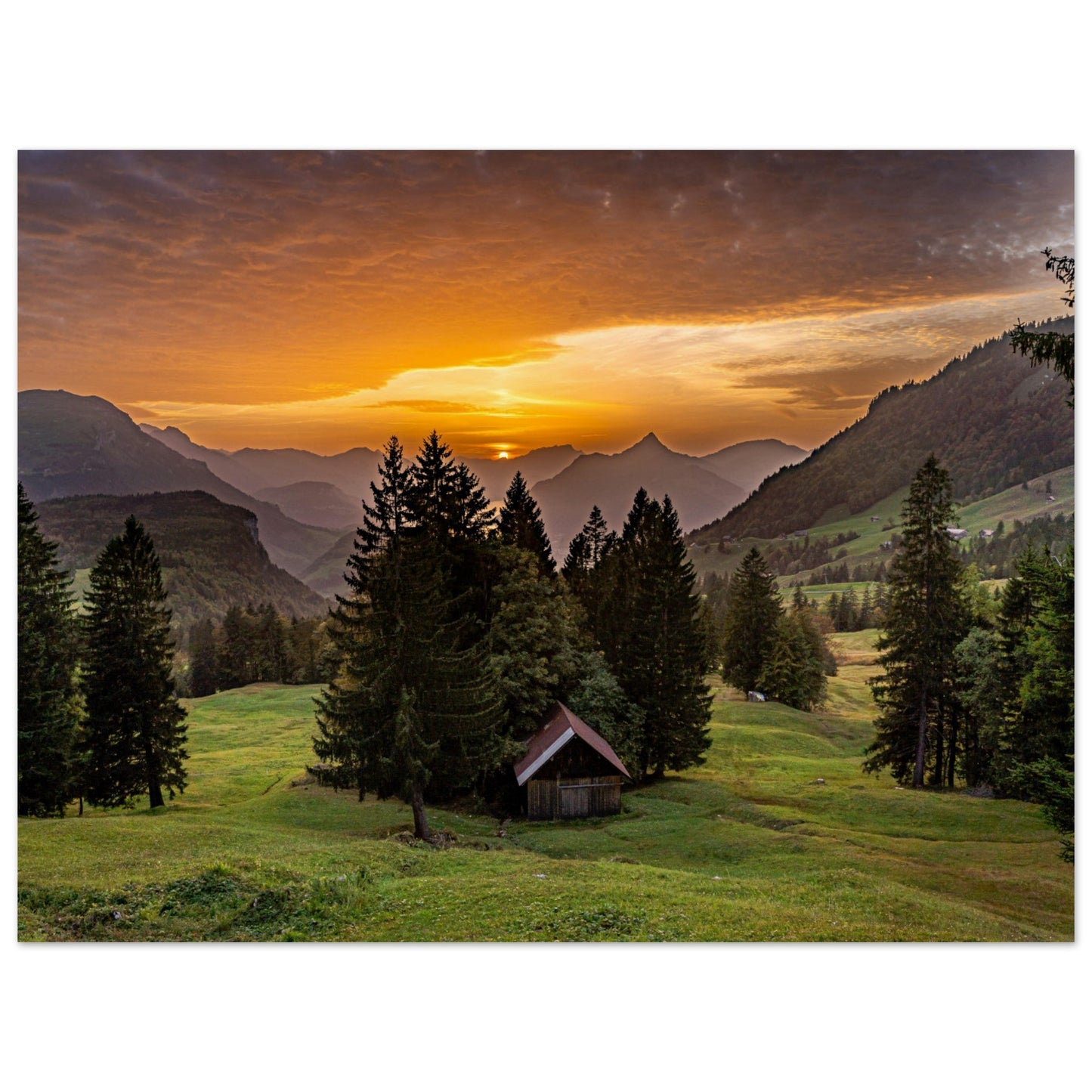 Sonnenuntergang auf der Ibergeregg - Premium Poster