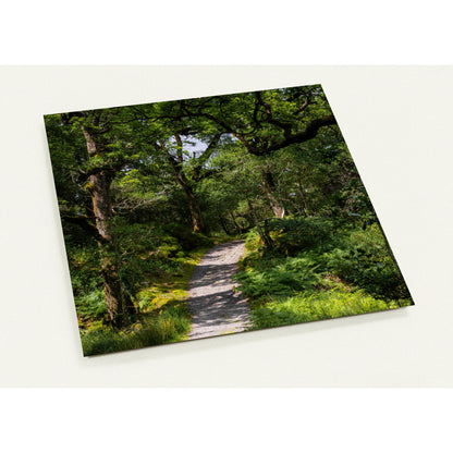 Forest path in the countryside - set of 10 postcards with envelopes 