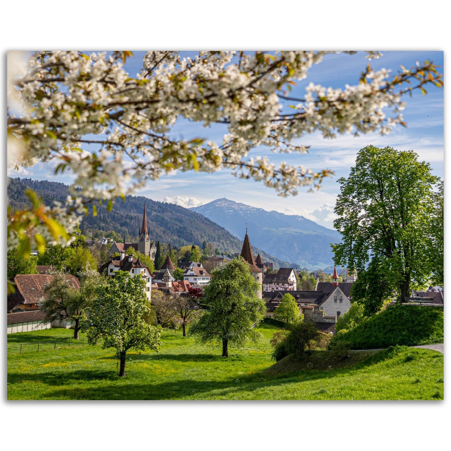Frühlingszauber Stadt Zug - Premium Poster