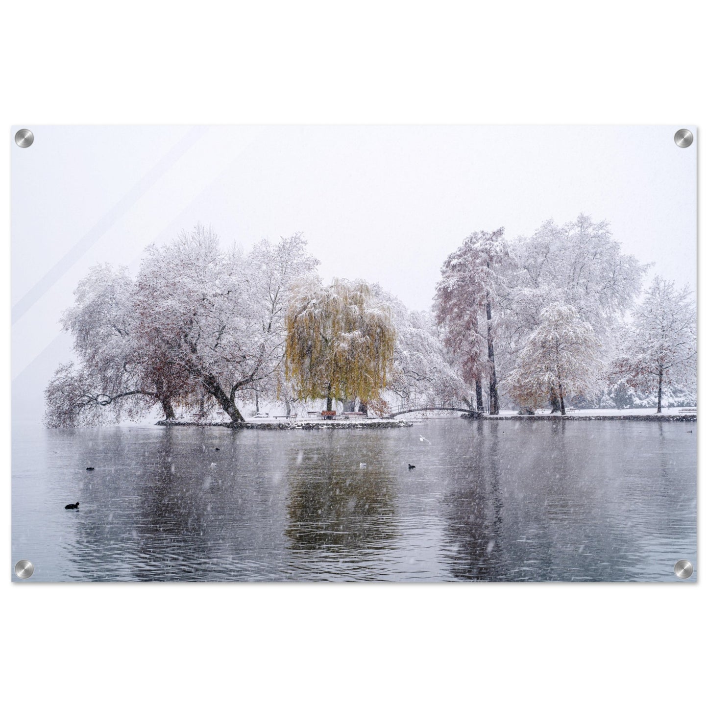 Snowfall in Villettepark - acrylic glass print