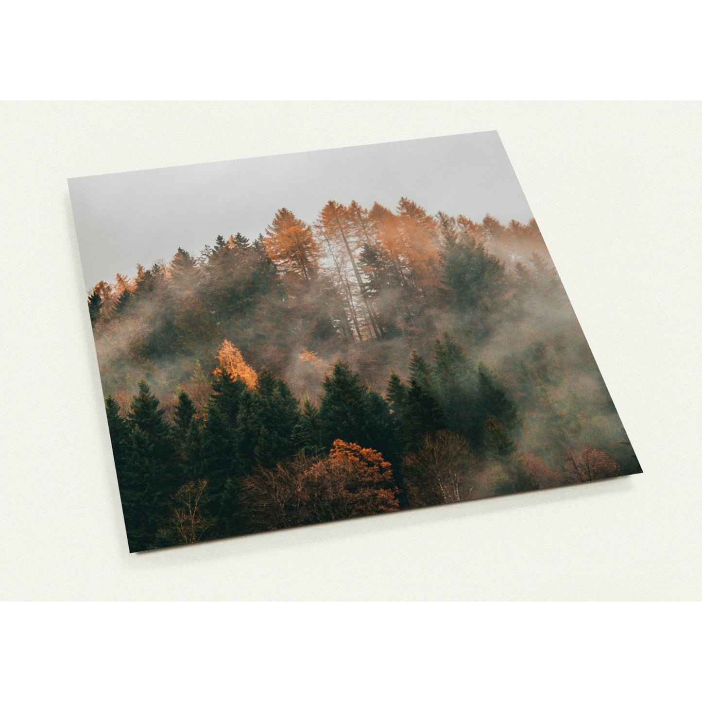 Herbstliche Harmonie - 10er Set Kunst-Grusskarten mit Umschlägen - Set mit 10 Karten (2-seitig, mit Umschläge)