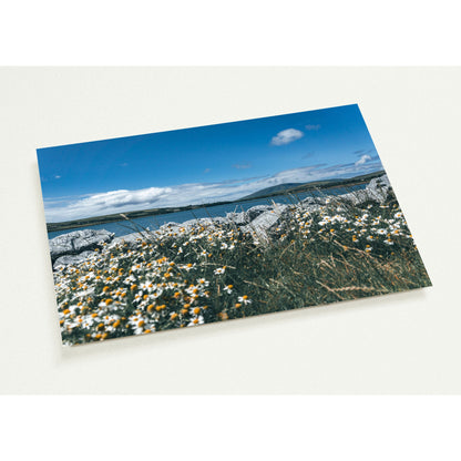 Flower magic on the seashore set of 10 cards (2-sided, with envelopes)