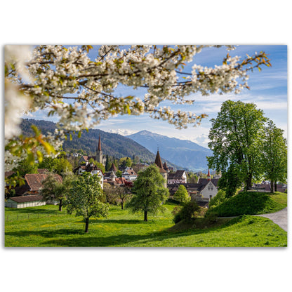 Frühlingszauber Stadt Zug - Premium Poster