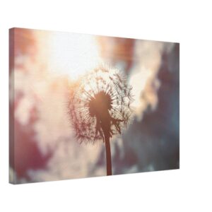 Pusteblume mit Sonne - Leinwand