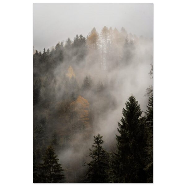 Nebel über dem Wald - Premium Poster