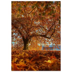 Herbststimmung im Villettepark - Premium Poster